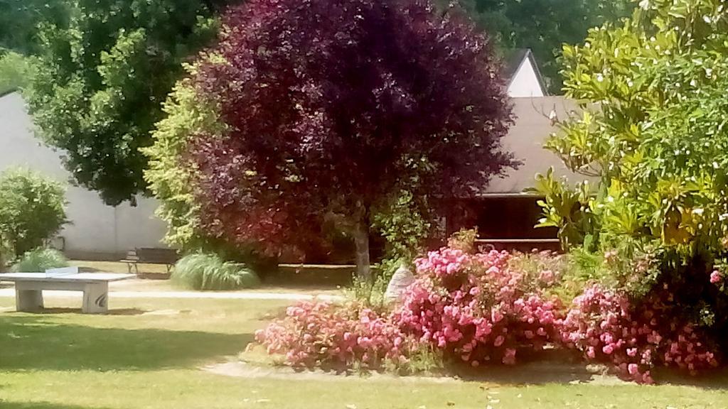 VVF Villages   Les Rives de Dordogne   Martel-Gluges Eksteriør billede